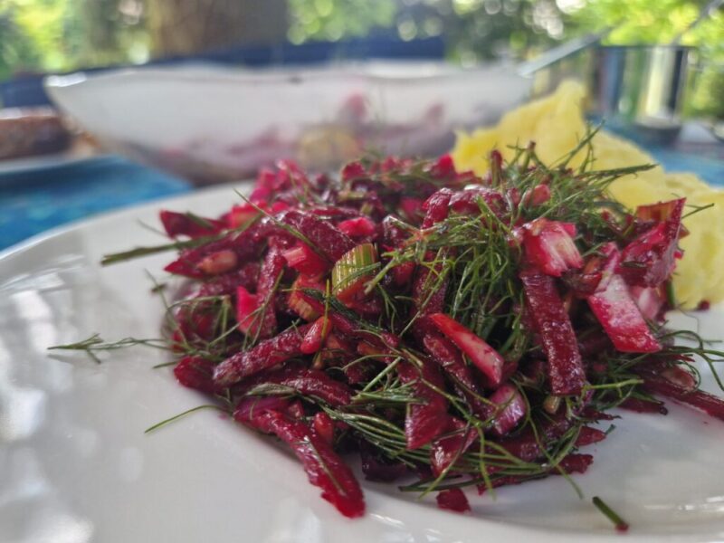 Rezept-20260616
