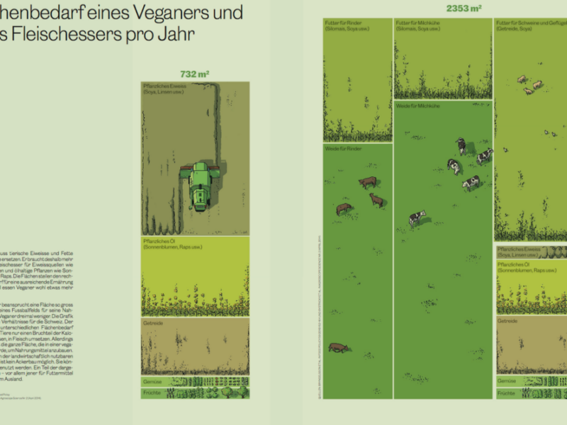 Beitrag Ernährung Bild 1