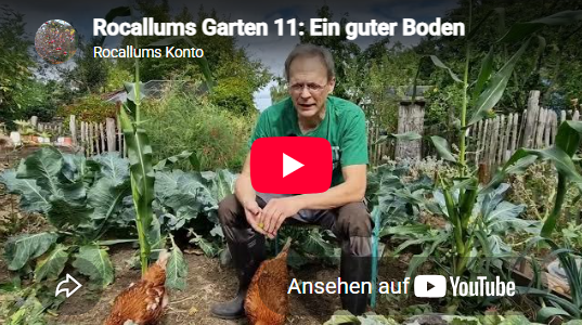 Rocallum Folge 11