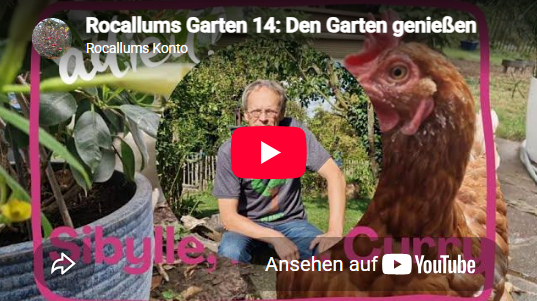 Rocallum Folge 14